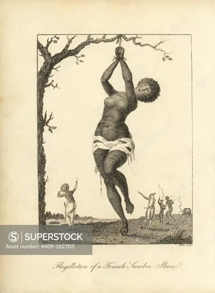 Flagellation of a Female Samboe Slave. A woman, naked except for a ragged  loincloth, is tied to a tree for a whipping by her Dutch owners.  Copperplate engraving by William Blake after