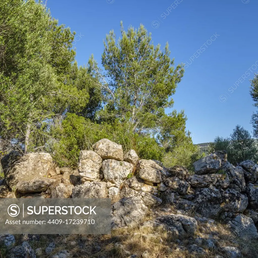 Talaiot des serral de Ses Abelles, - Talaiot de Son serralta -, Puigpunyent, Mallorca, balearic islands, Spain.