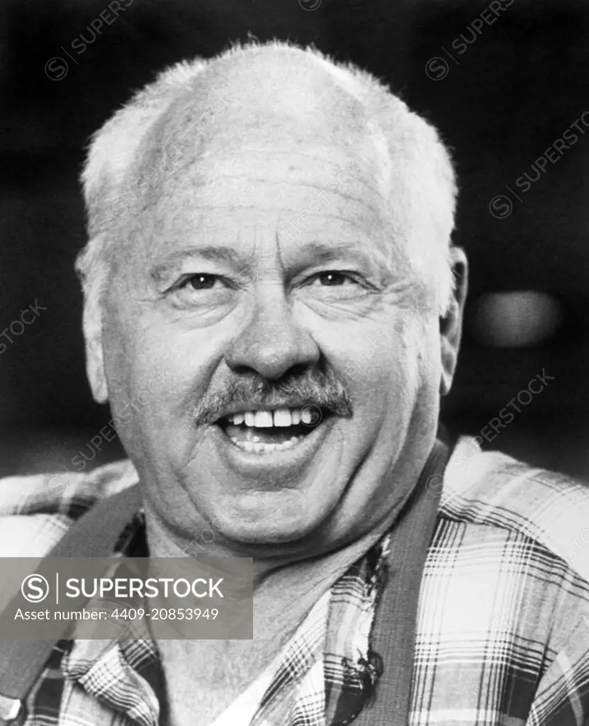 MICKEY ROONEY in THE BLACK STALLION (1979), directed by CARROLL BALLARD.