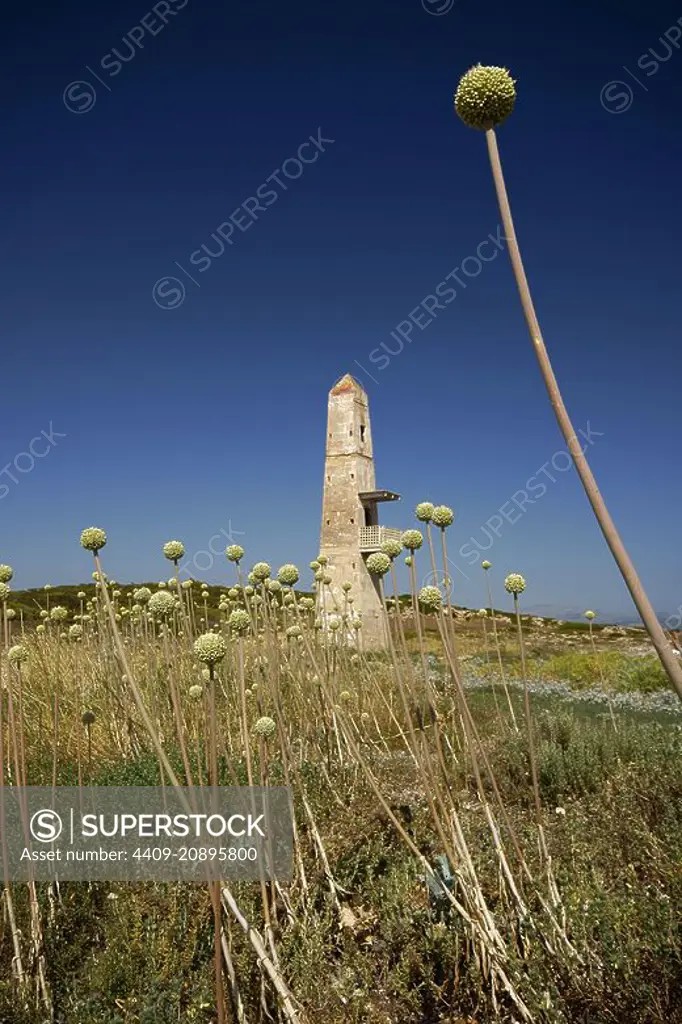 Torre de enfilación.Punta des Potro-Son Real. Santa Margalida.Mallorca.Baleares.España.