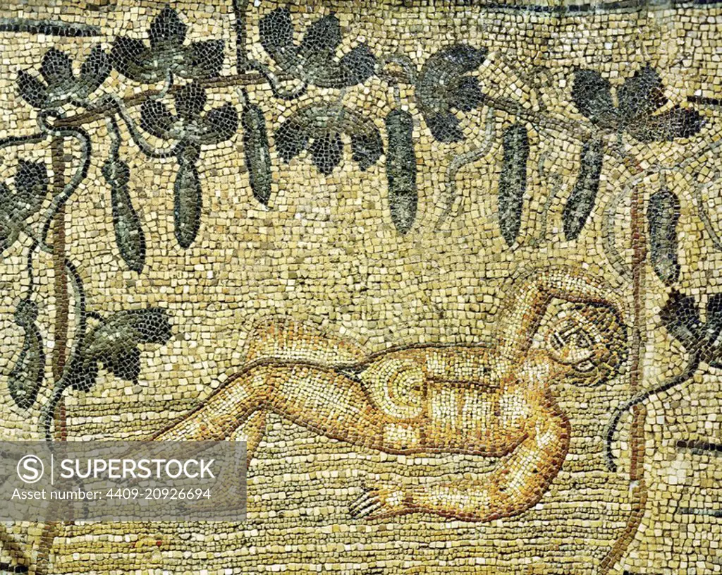 Prophet Jonah rests under gourd vine in Nineveh later to be destroyed by sirocco mosaic pavement from Basilica. Basilica Aquileia, Italy.