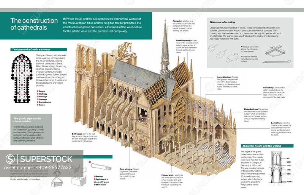 Infographic of the structure of the gothic cathedral and the process of ...