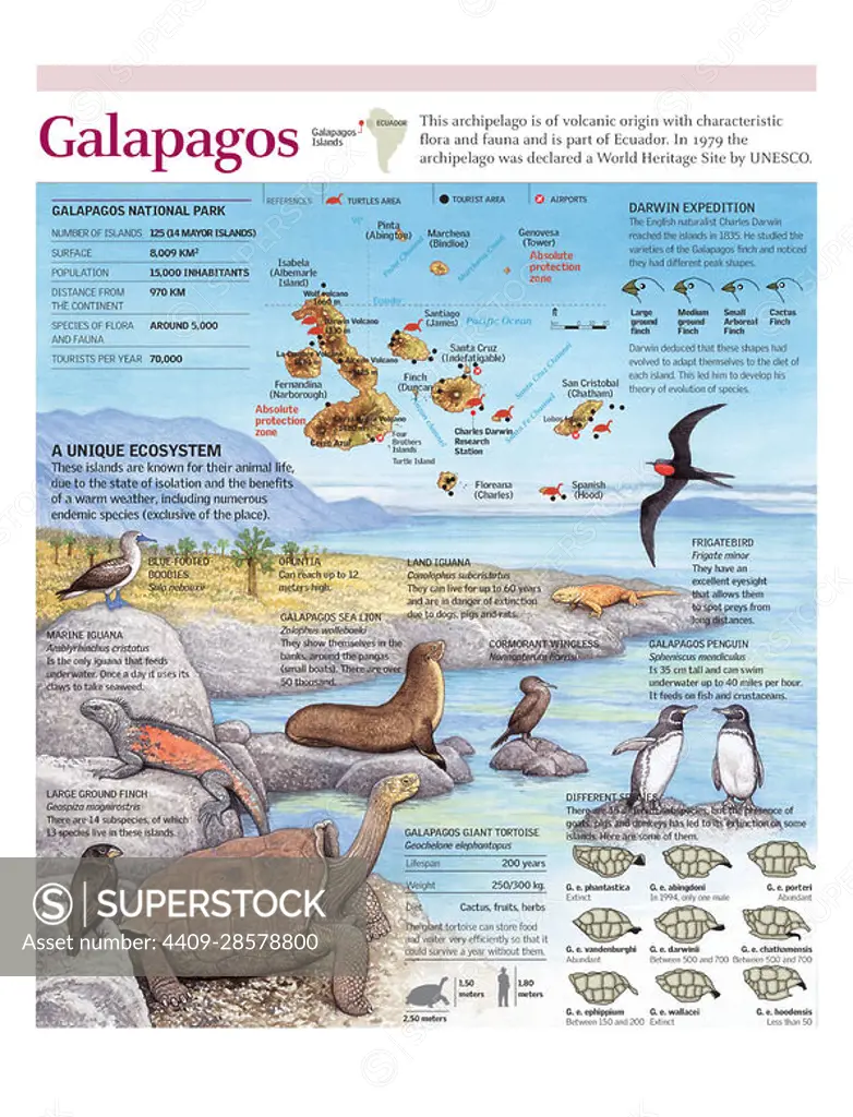 Infographics of Galapagos Islands geography and ecosystem. Adobe Illustrator (.ai); 2480x3248.