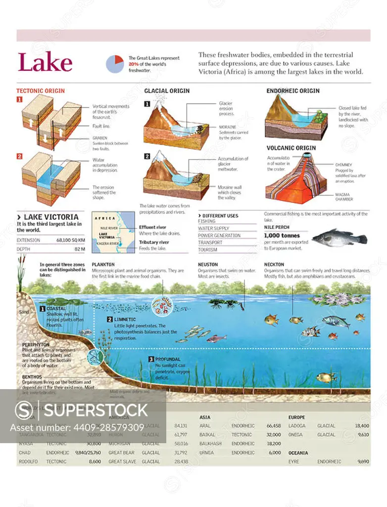 Infographics of the areas and the ecosystem of Lake Victoria and the formation of different types of lakes. Adobe Illustrator (.ai); 2480x3248.