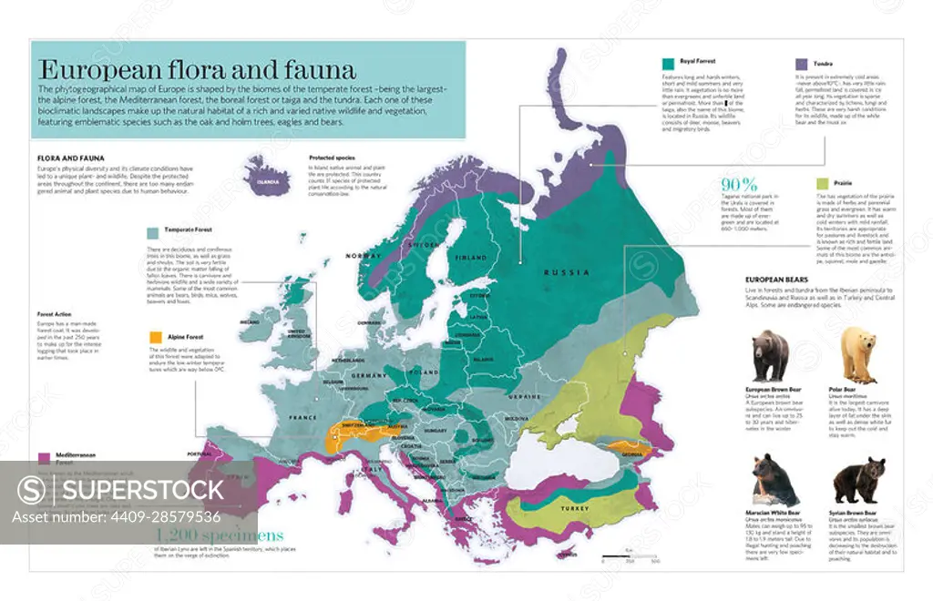 Infographic about biomes and ecosystems of flora and of fauna of Europe. QuarkXPress (.qxp); Adobe InDesign (.indd); 5669x3661.