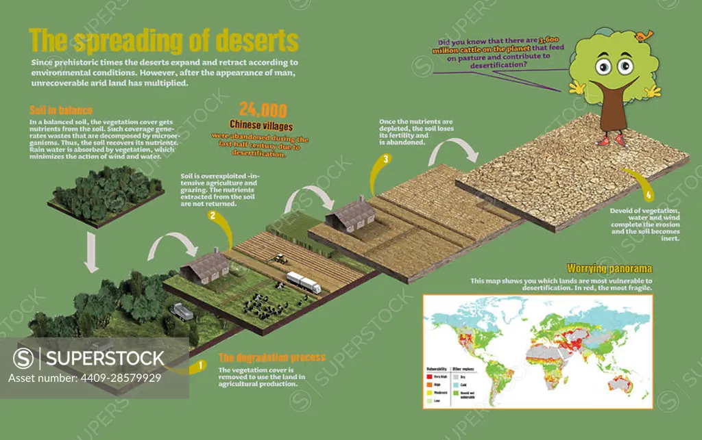 desertification diagram