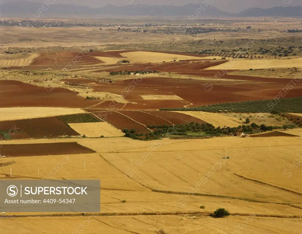 Agricultural landscape. Spain, Extremadura. Region of La Serena. Badajoz province. Panoramic view in the surroundings of the village of Magacela.