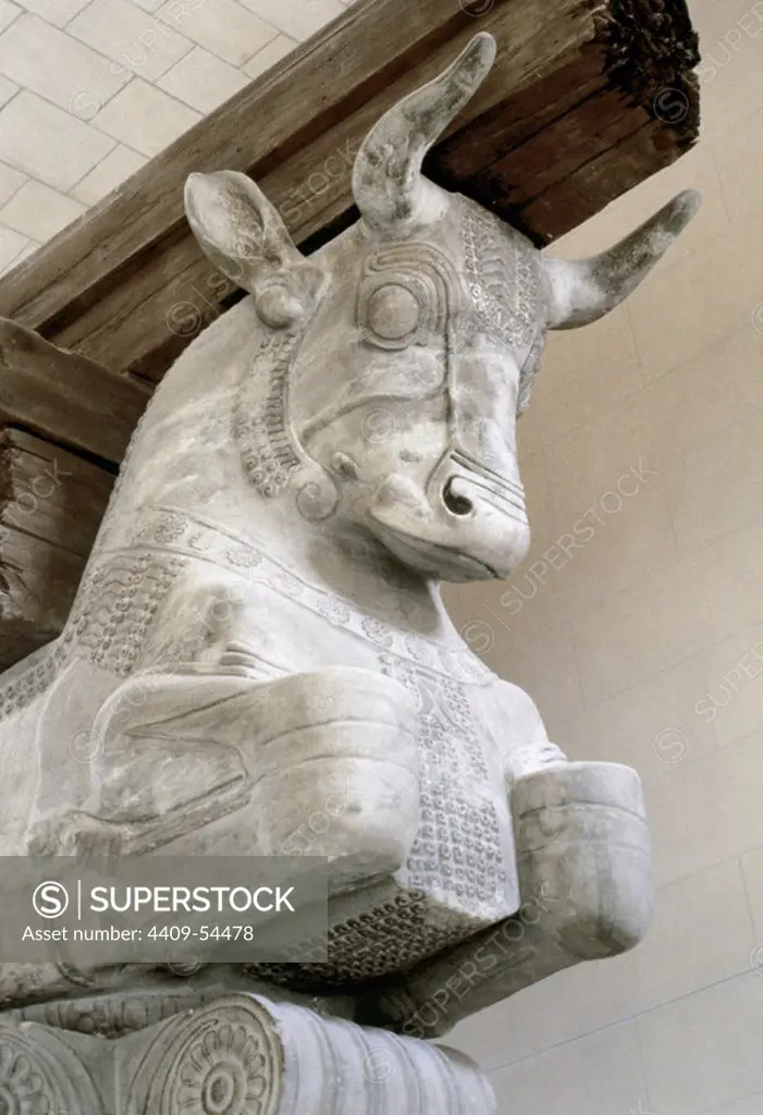 Double Bull-capital of a column from the audience hall of the palace of Darius I. Detail of the colossal capital from one of the columns which supported the roof of the apadana at Susa. Iran. Gray limestone, ca. 510 BC. Detail. Louvre Museum. Paris, France.