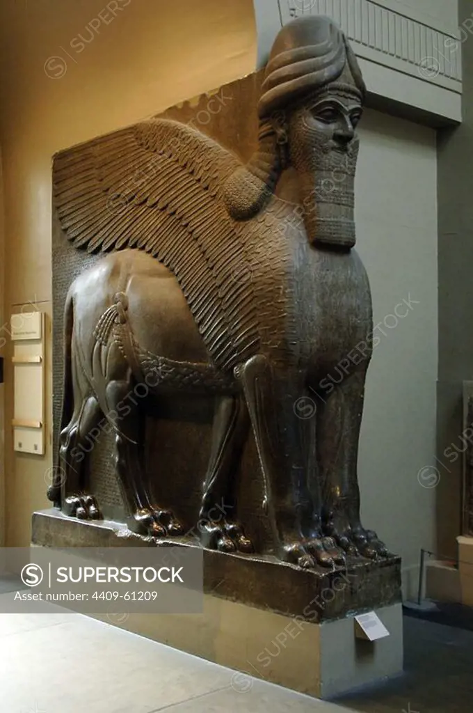 Colossal statue of a winged lion with a human face. 865-860 BC. From Northwest Palace of Ashurnasirpal II. Nimrud. British Museum. London. United Kingdom.