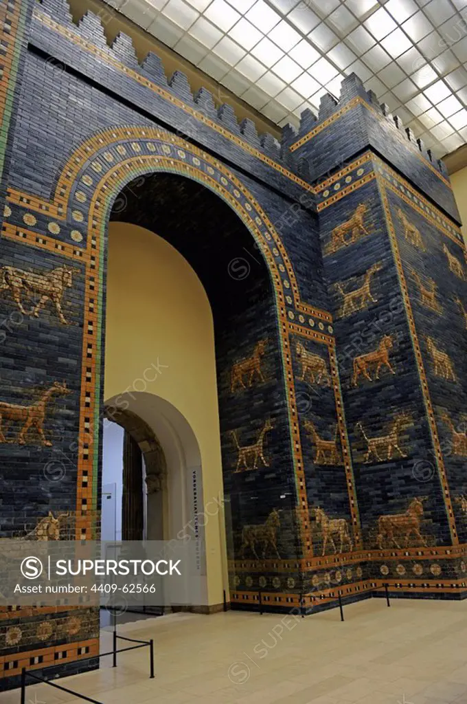 Mesopotamian art. Neo-Babylonian. Ishtar Gate, one of the eight gates of the inner wall of Babylon. Built in the year 575 B.C. during the reign of Nebuchadnezzar II (604-562 BC) using glazed blue brick with alternating rows of basrelief with dragons mushussu, also called sirrush, and aurochs. It was dedicated to the Babylonian goddess Ishtar. Rebuilt in 1930. Pergamon Museum. Berlin. Germany.