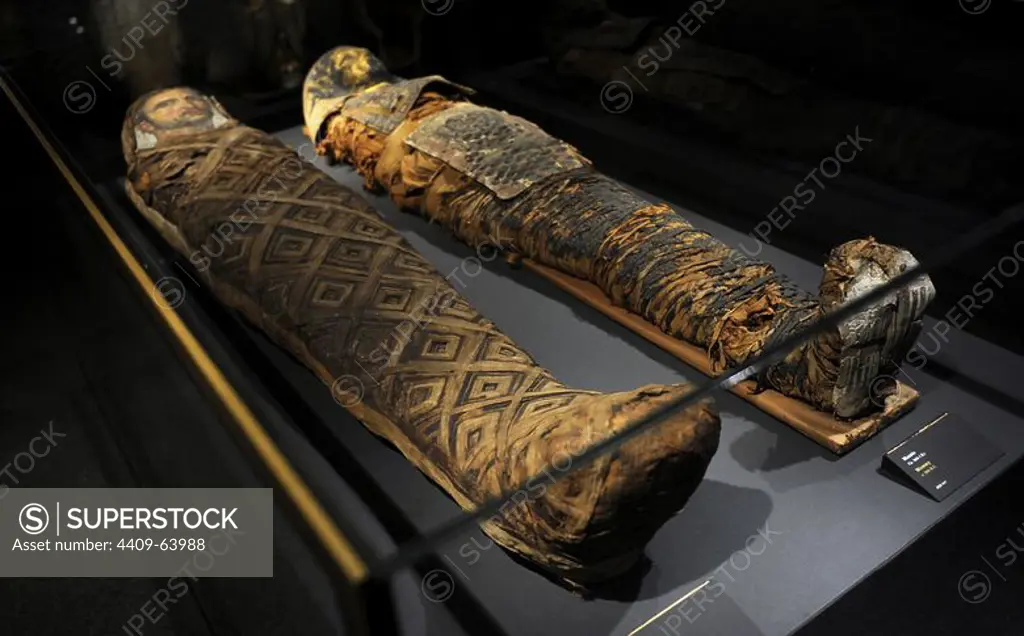 Egyptian mummies. On the right, mummy dated c. 300 B.C. On the left, mummy dated c. 50 A.D. Carlsberg Glyptotek Museum. Copenhagen. Denmark.