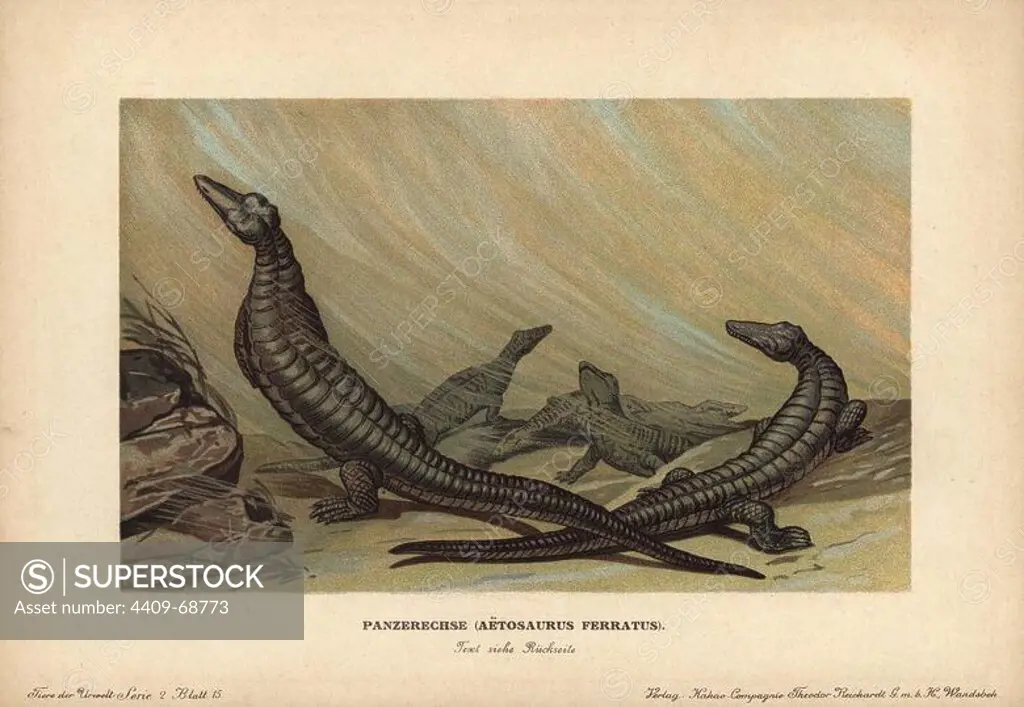 Aetosaurus, Panserechse, Aetosaurus ferratus, extinct genus of archosaur reptile. Colour printed (chromolithograph) illustration by F. John from "Tiere der Urwelt" Animals of the Prehistoric World, 1910, Hamburg. From a series of prehistoric creature cards published by the Reichardt Cocoa company.