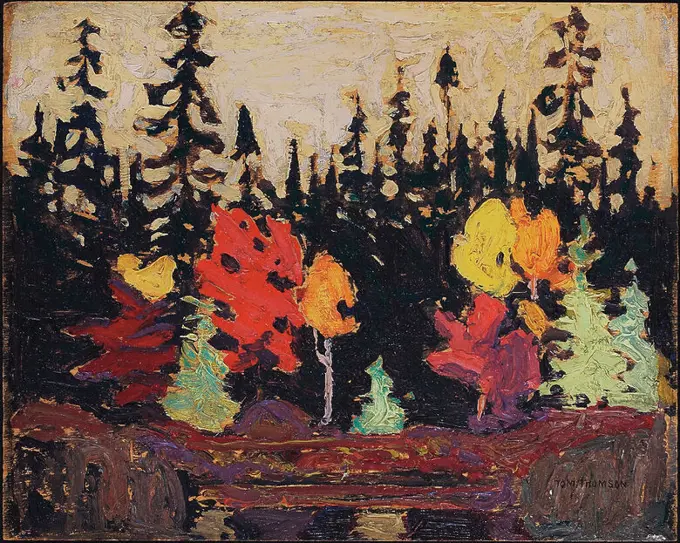 Black Spruce and Maple. Date/Period: 1915. Painting. Oil on wood panel. Width: 26.7 cm. Height: 21.6 cm (overall). Author: TOM THOMSON.