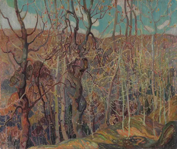 Silvery Tangle. Date/Period: 1921. Painting. Oil on canvas. Width: 119.7 cm. Height: 101.6 cm (overall). Author: FRANKLIN CARMICHAEL.