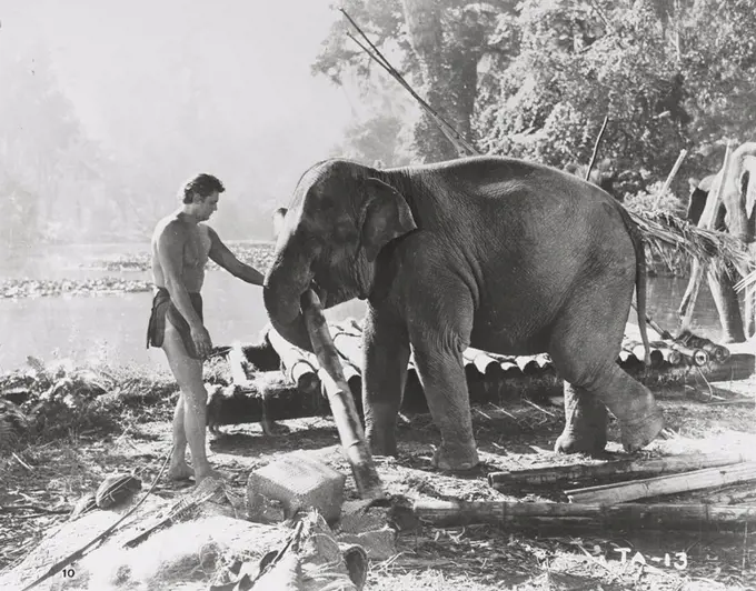 JOHNNY WEISSMULLER in TARZAN AND THE AMAZONS (1945), directed by KURT NEUMANN.