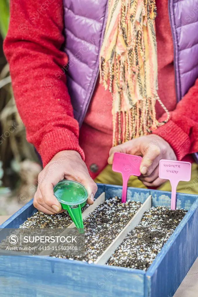 Sowing young vegetables under cover in a box, saves time for early vegetables ... or harvest before the hour indoors.