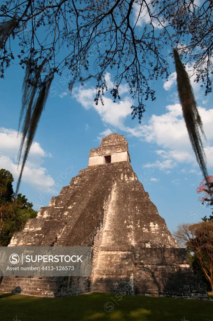 Temple of the Giant Jaguar Tikal mayan archaeological site