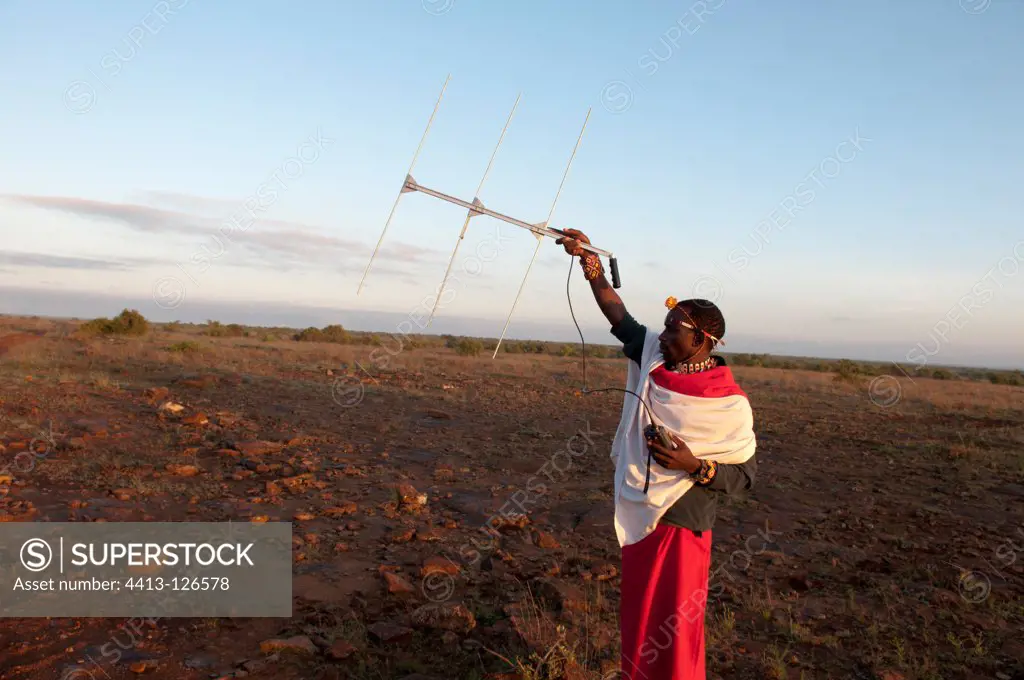 Samburu guide searching for Lions with electronic tracking