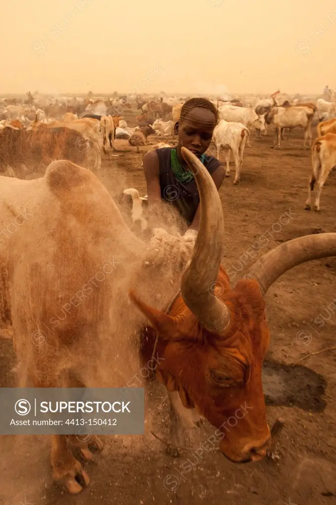 Nuer Cattle Camp in the Tioch Southern Sudan