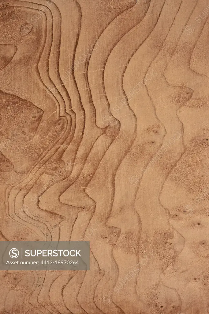 Longitudinal section of Sequoia burl (Sequoia sempervirens), synonyme : Redwood burl, Californie, USA