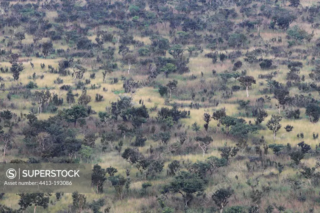 Savanna mosaic in the Batéké Plateau NP in Gabon