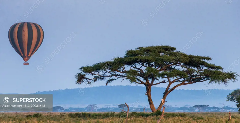 Balloon with tourists flies over the savannah in the Serengeti National Park. Tanzania.