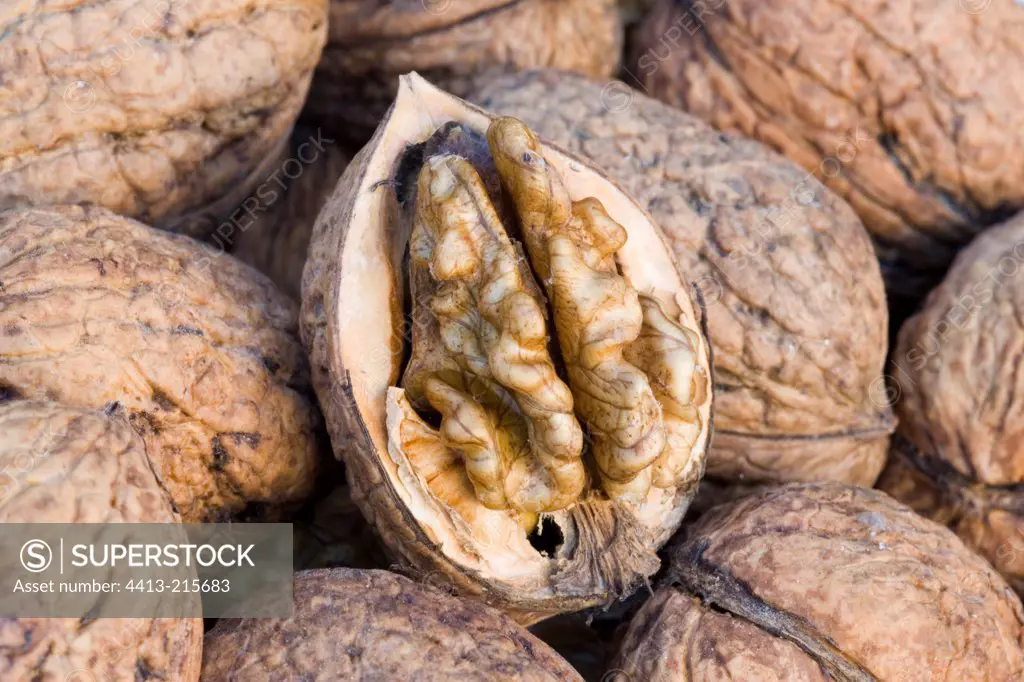 Closeup of basket of walnuts