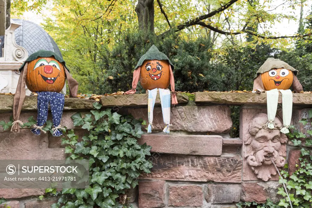 Decorated pumpkins for Halloween, Germany