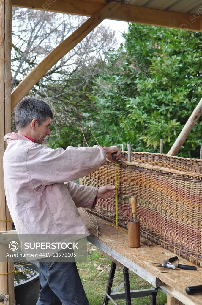 Making off a Wicker coffin for organic funeral