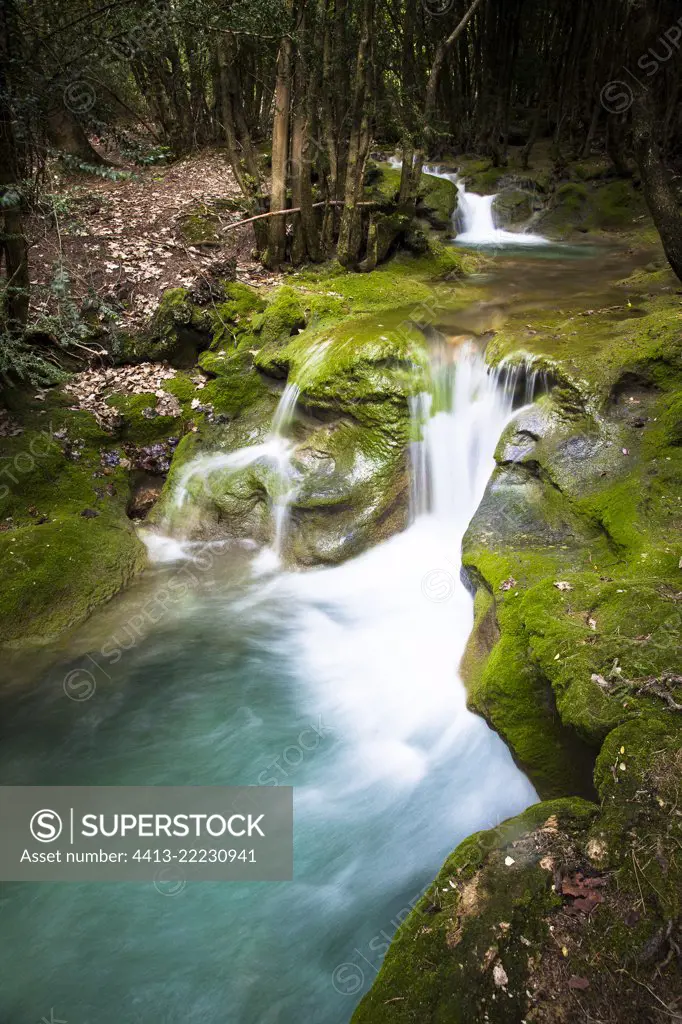 Cascade on tufa (limestone concretion, housing directive), Regional Nature Reserve of Saint Maurin, La-Palud-sur-Verdon, Verdon Regional Nature Park, Alpes de Haute Provence,