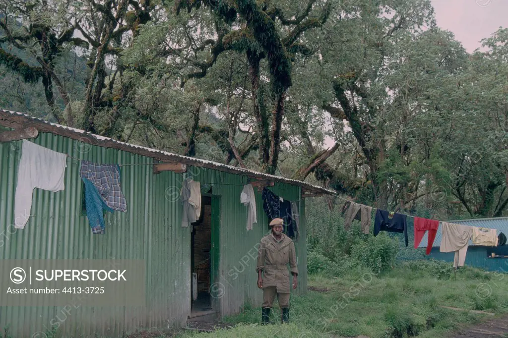 Guards in the camp of Dian Fossey Karisoke Rwanda