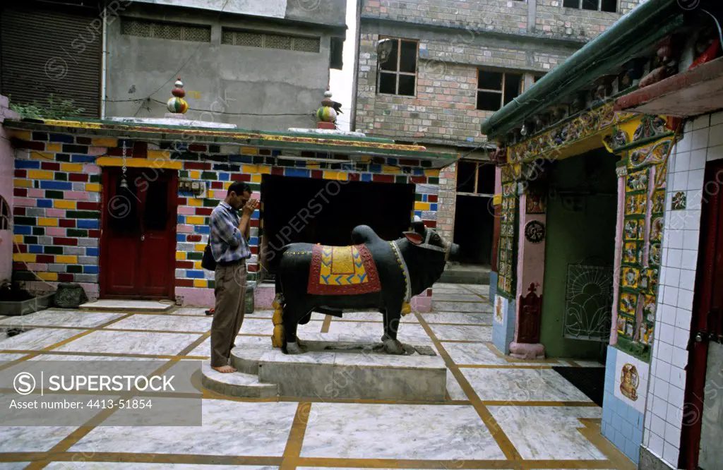 Photographer and Nandi Mandi Himachal Pradesh India