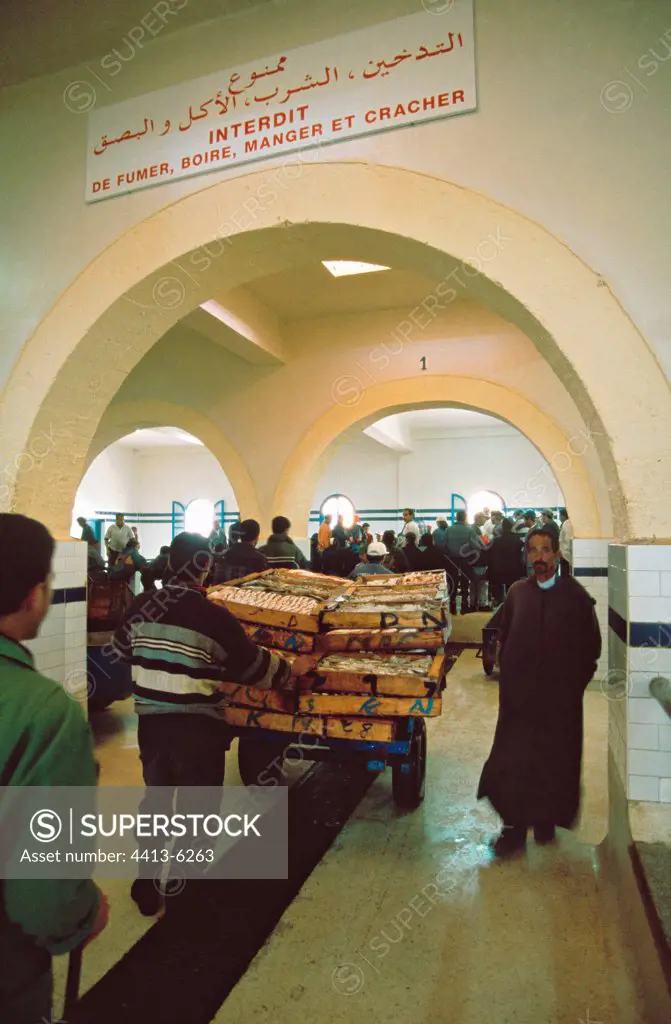 Fish market in the harbour of Essaouira Morocco