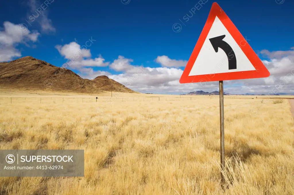 Curve sign Grass in Namib Desert after unusual rains Namibia