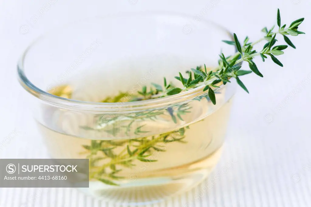 Thyme tea in a transparent cup