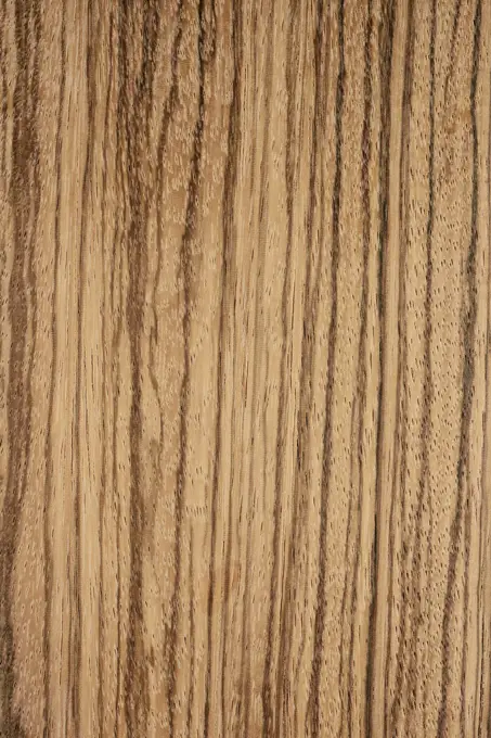 Longitudinal section of African Zebrawood (Microberlinia brazzavillensis), Gabon