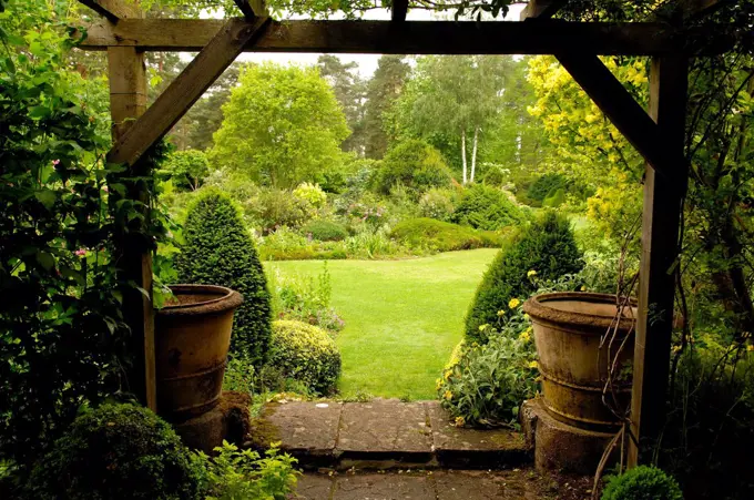 Scene of sight in a garden pergola