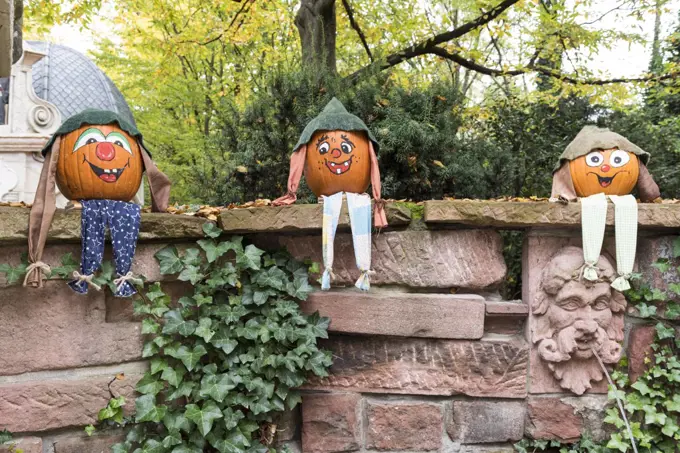 Decorated pumpkins for Halloween, Germany