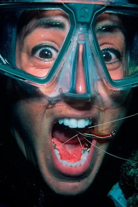 Fiji, Man with opened mouth and White-banded cleaner shrimp (Lysmata amboinensis) cleaning his teeth