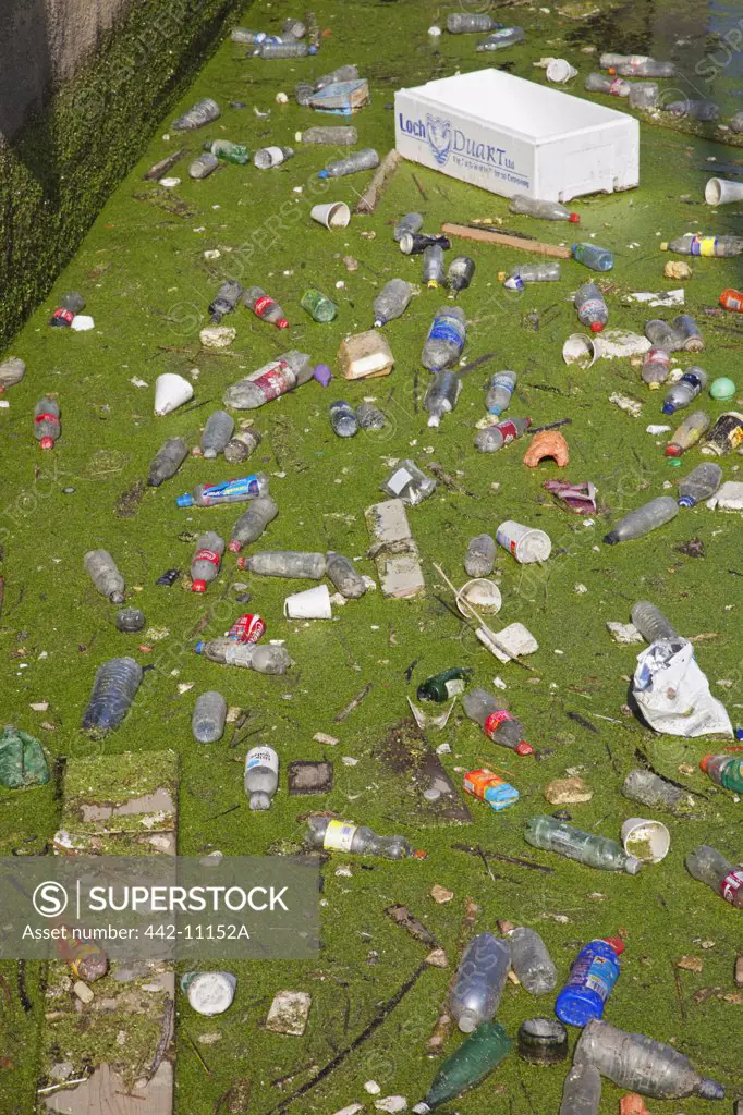 Plastic garbage floating on water, Thames River, London, England