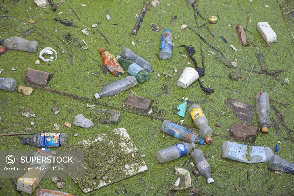 Plastic garbage floating on water, Thames River, London, England