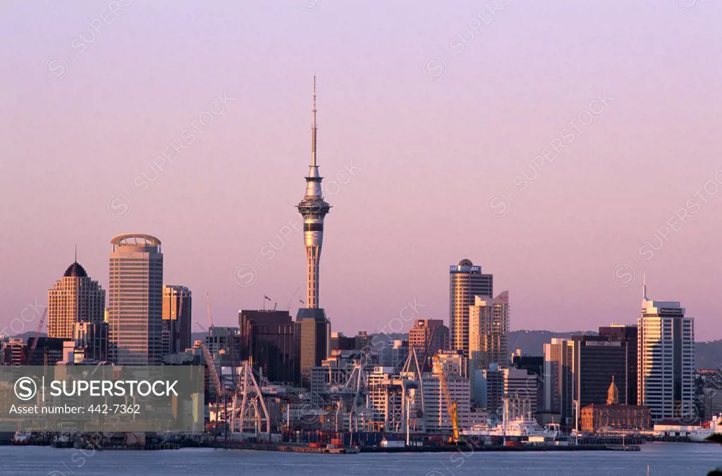 City Skyline, Auckland, North Island, New Zealand