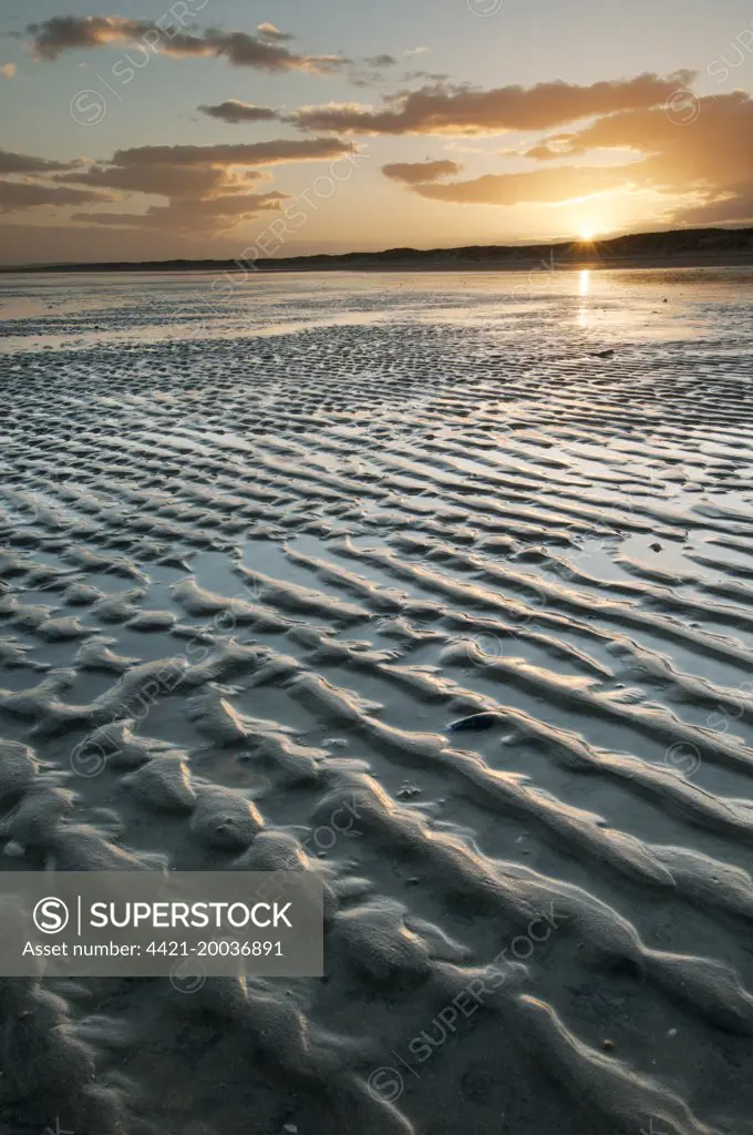 View of ripples in sand on beach during low tide at sunset, Camber Sands, East Sussex, England, June