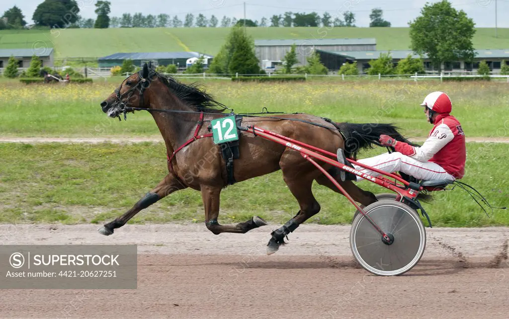 Horse racing, harness racing at racecourse, Vire Racecourse, Normandy, France, May 