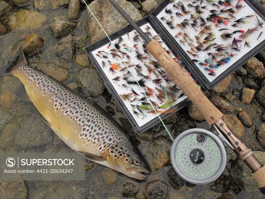 CATCH Fly Fishing Fly Boxes - Catch Fly Fishing