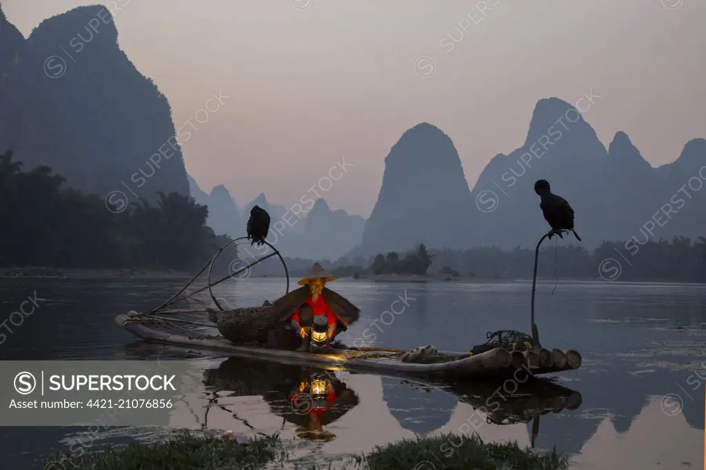 Traditional fisherman with trained cormorants, lighting lamp on bamboo raft at sunrise, on river in karst area, Li River, Guilin, Guangxi Zhuang Autonomous Region, China, October