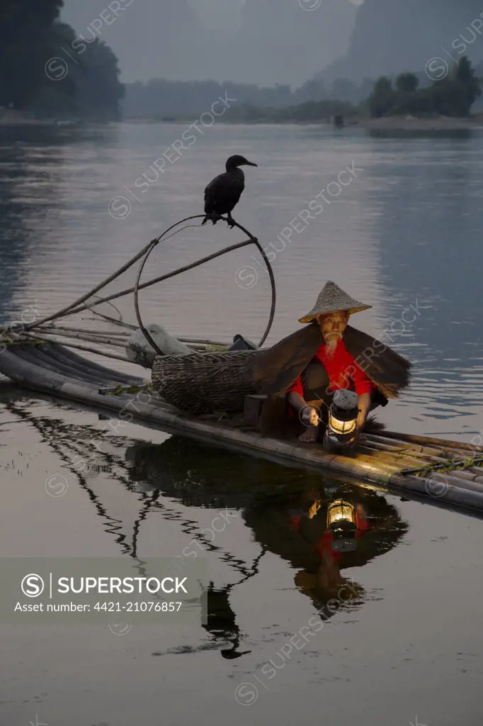 Traditional fisherman with trained cormorants, lighting lamp on bamboo raft at sunrise, on river in karst area, Li River, Guilin, Guangxi Zhuang Autonomous Region, China, October