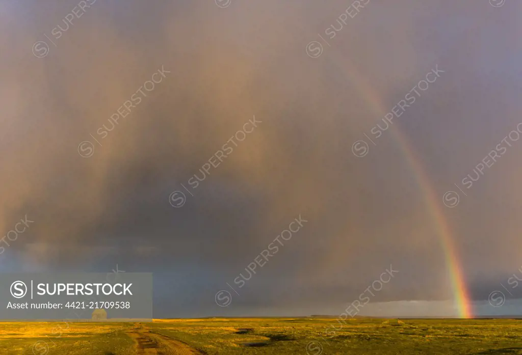 Rainbow and receding storm clouds over barn and grazing marsh, Elmley ...