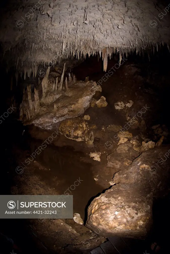 Stream flowing through cave with stalactites and stalagmites, Lake Cave, Margaret River, Western Australia, Australia