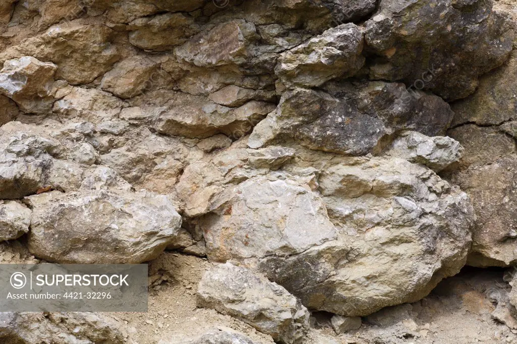 Silurian limestone in quarry, showing reef formation, Wenlock Edge, Shropshire, England, April